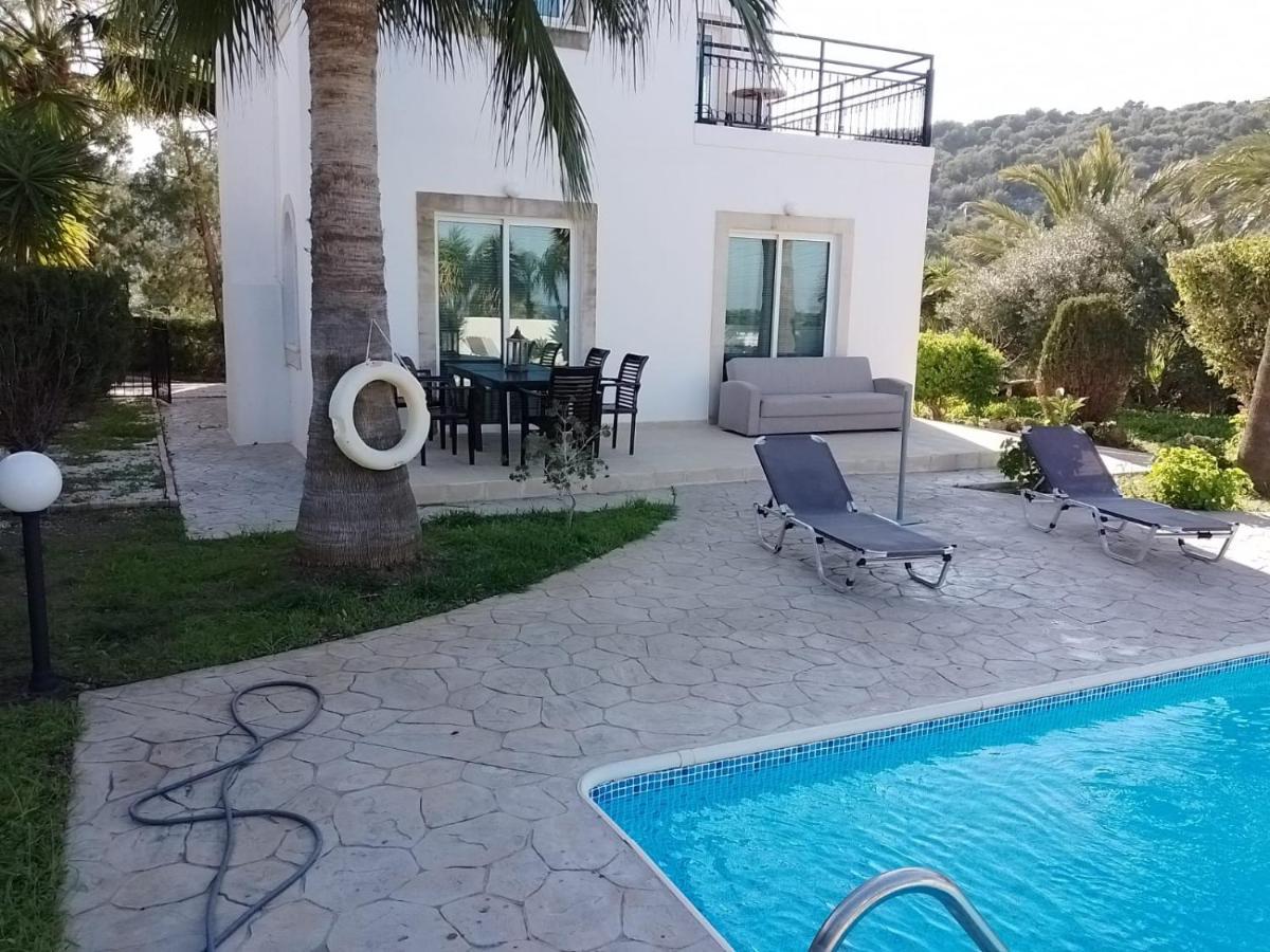 Villa Chrysanthemum Neo Chorio Exterior foto