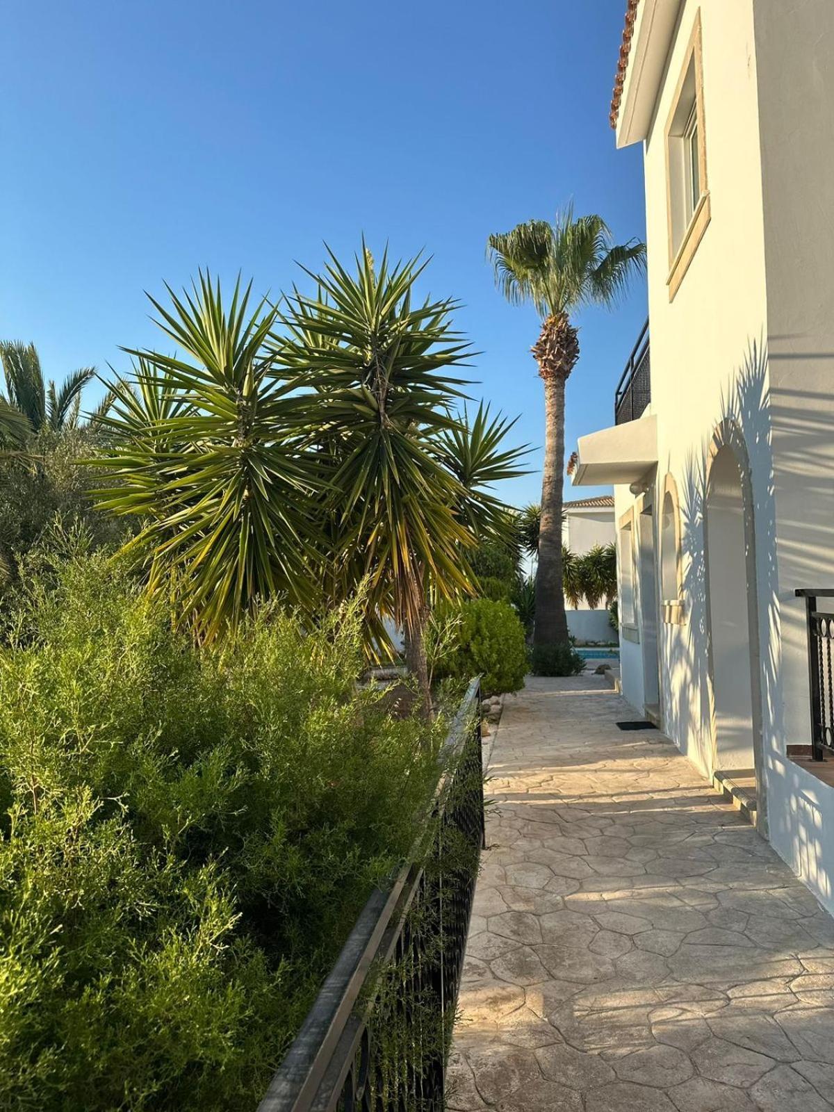 Villa Chrysanthemum Neo Chorio Exterior foto