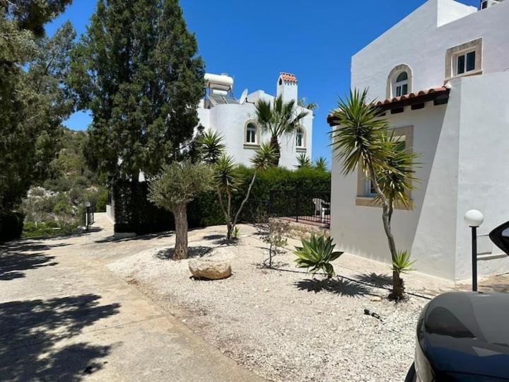 Villa Chrysanthemum Neo Chorio Exterior foto